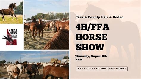 Review of Cassia County Fair Horse Races in Burley ID 